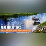 DSC Reflections Virtual