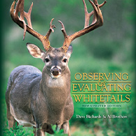 Observing Evaluating Whitetails