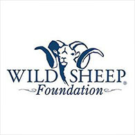Bighorn Sheep Foundation