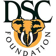DSC Foundation