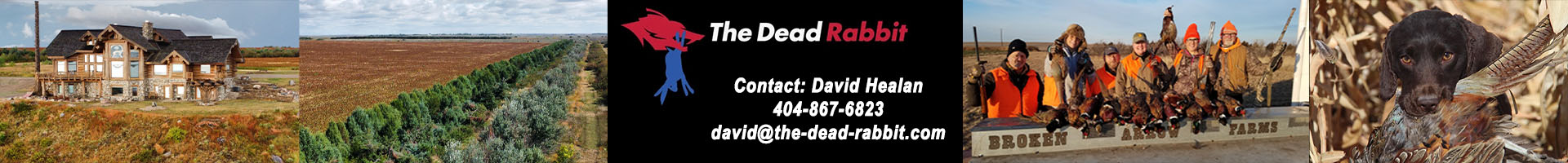 Dead Rabbit Ad