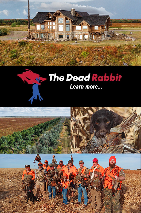 Dead Rabbit Ad