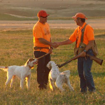 Length of Dog Training Sessions