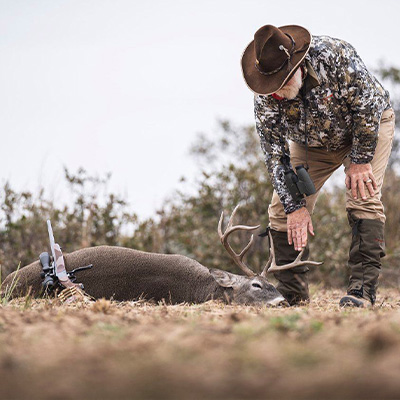 Whitetail