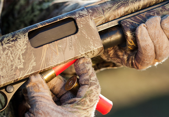 Shot Gun Shells