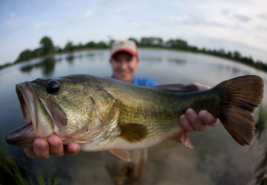 Two Year Bass Study