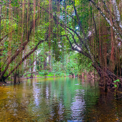 Kinder Outdoors 101 Florida