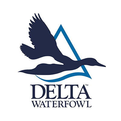 Delta Water Fowl